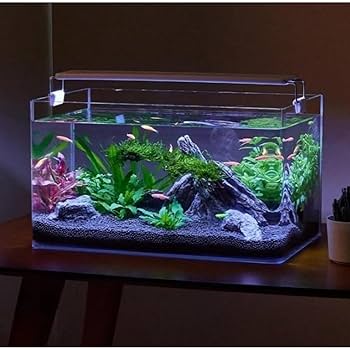 CELL CLEAR ガラス水槽 Amazon | ガラス水槽 透明水槽 リビング用ボール水槽 小型金魚